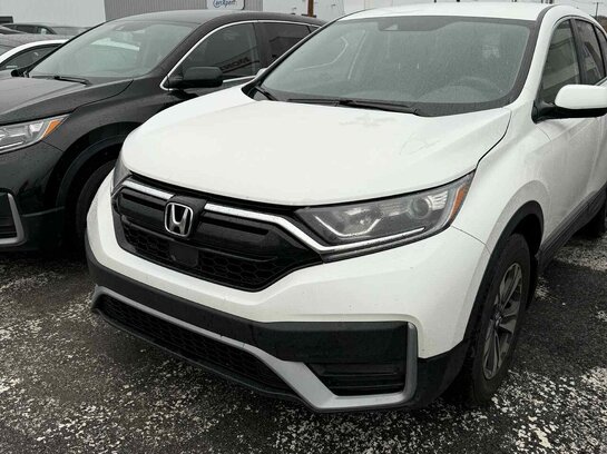 Honda CR-V LX FWD 2021 2021 Blanc